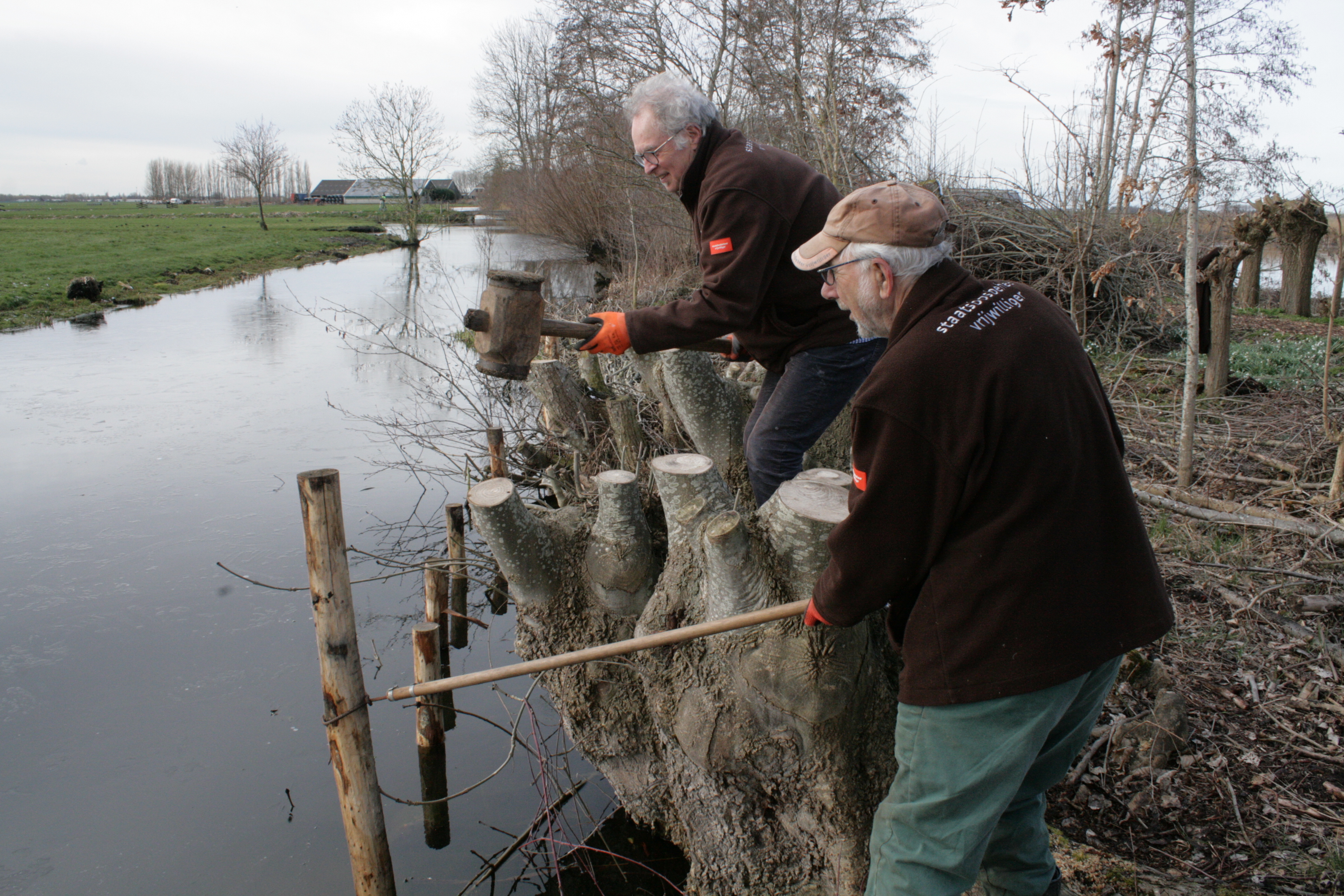 Knotploeg (Spookverlaat). Foto van Margot Klingers.